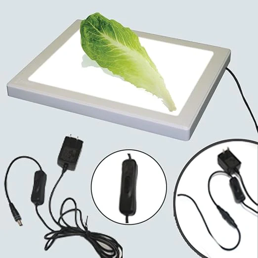 Bug Checker Max Pro | Bug Inspection | Kosher Innovations - Image 4