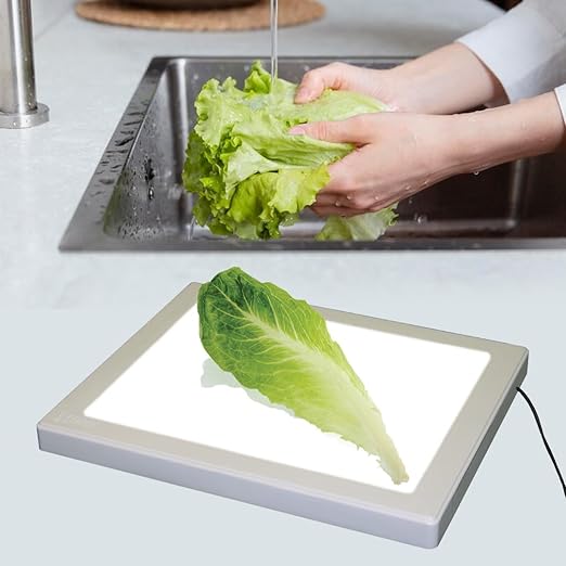Bug Checker Max Pro | Bug Inspection | Kosher Innovations - Image 5