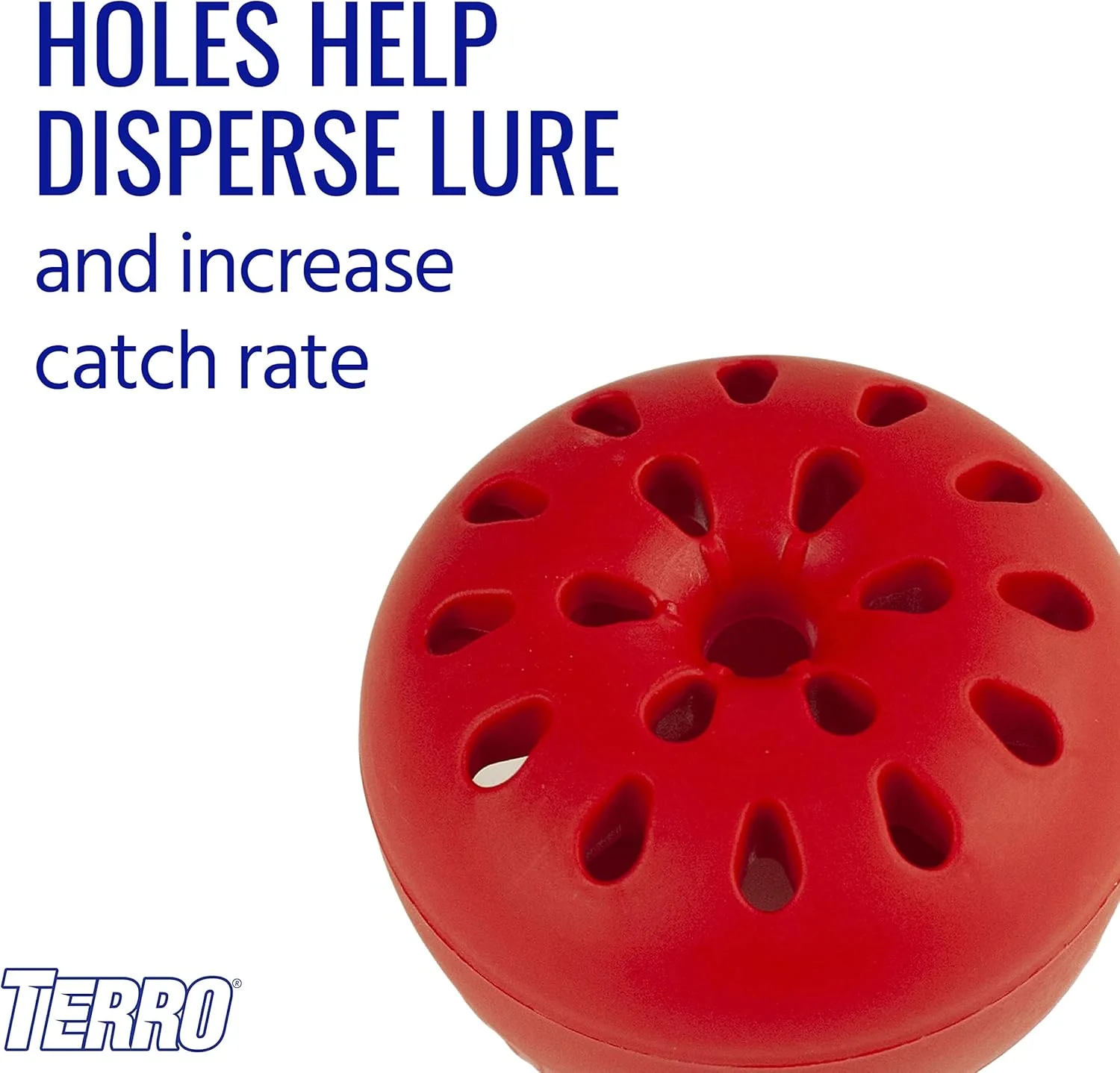 Fruit Fly Trap Terro - Image 3