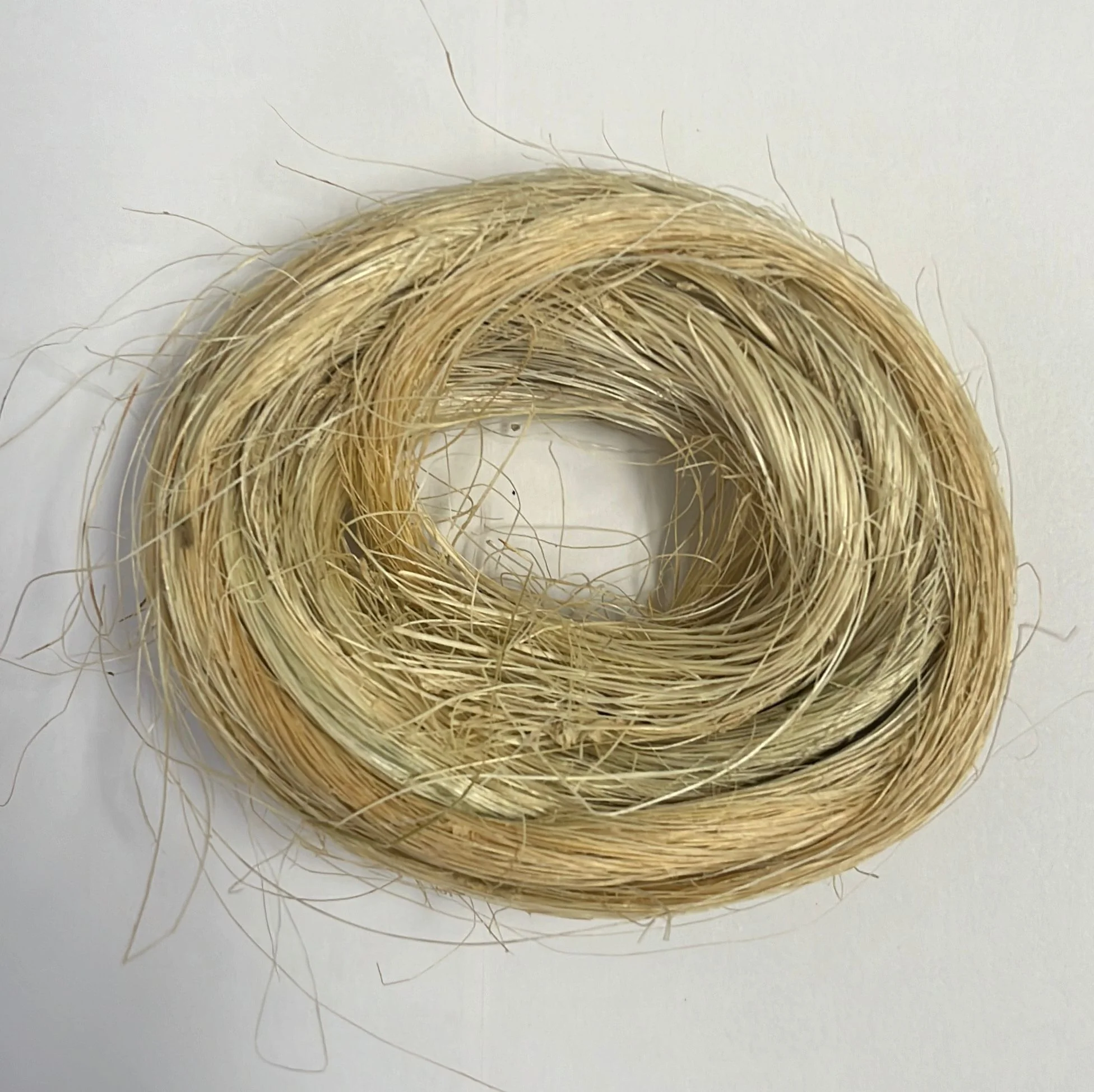 Kosher String - Image 2