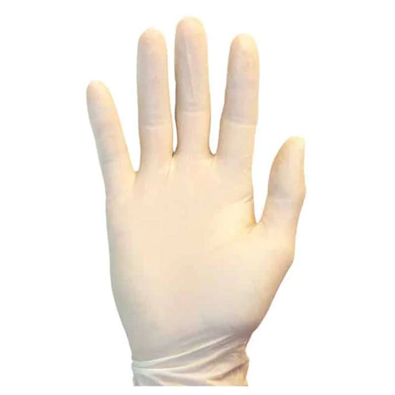 Latex Powder Free Gloves X-Large 100PK - Image 2