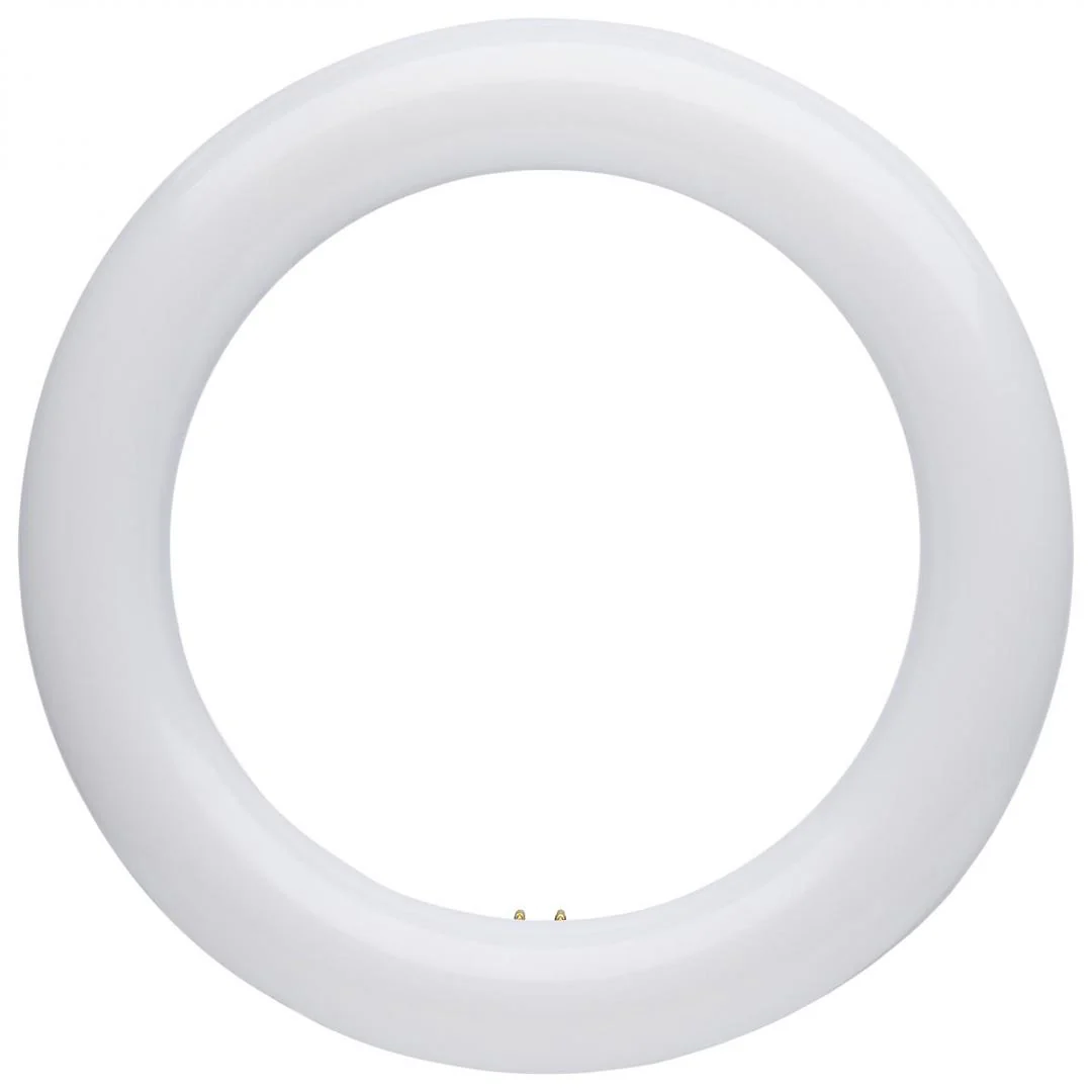 LED Circline 8" Color Selectable