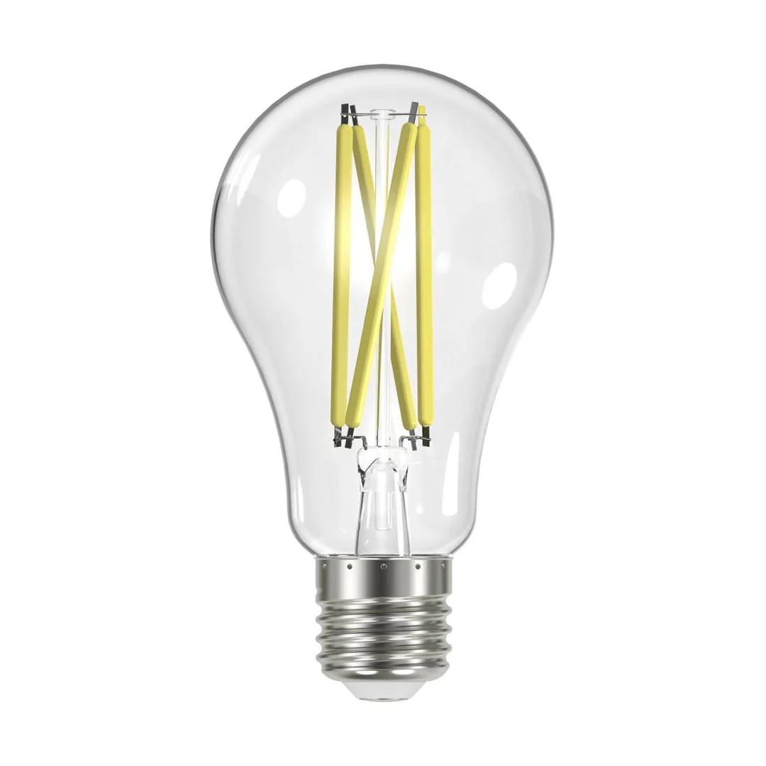 LED Clear 100W Bulb 3000K