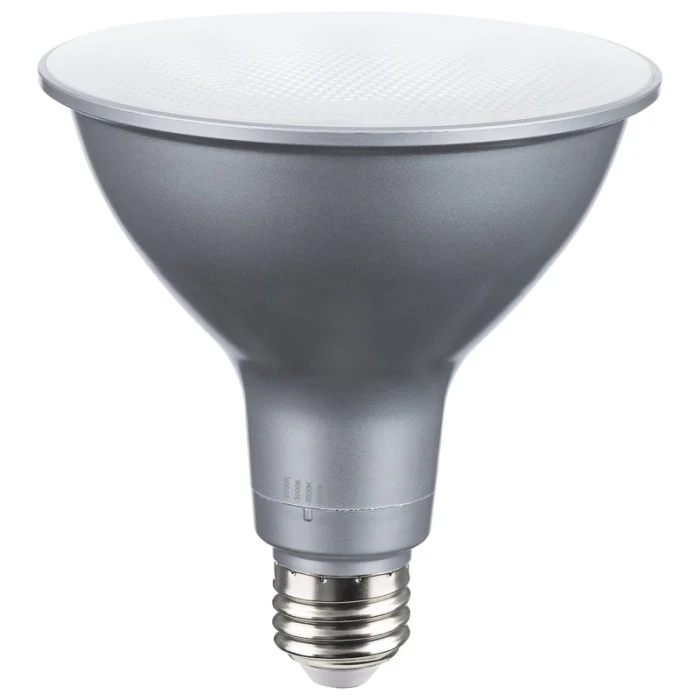 Led Par 21W Bulb Color Selectable