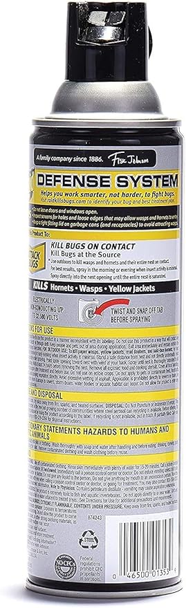 Raid Wasp & Hornet Spray - Image 2