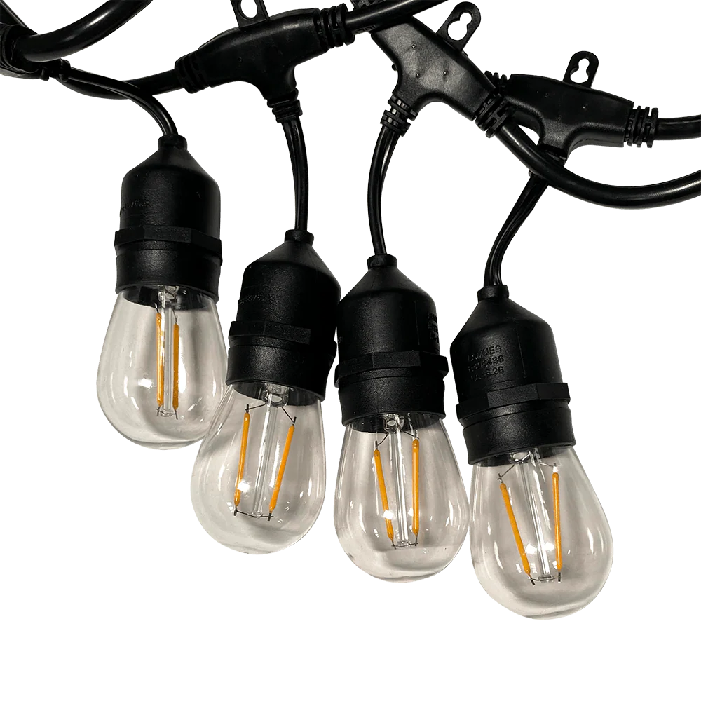 Sukkah Light D.R.M